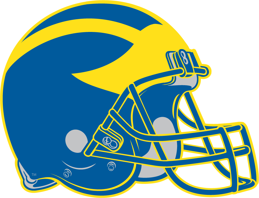 Delaware Blue Hens 1999-2008 Helmet Logo DIY iron on transfer (heat transfer)